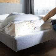 Bitten by Bed Bugs at a Florida Hotel