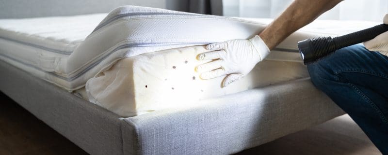 Bitten by Bed Bugs at a Florida Hotel